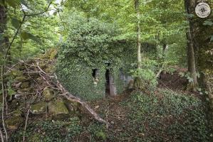 Ligne Maginot - BOIS GRIGNET SUD - (PC) - 