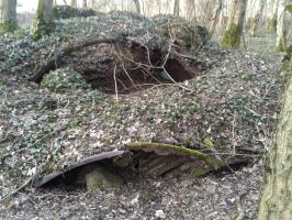 Ligne Maginot - BOIS DU FAYEL (I/143° RALH) - (PC de Sous-Secteur) - Ce PC n'existe pratiquement plus.
Il ne reste qu'un vestige effondré et envahi par la nature. On voit encore un peu la tôle arrondie qui constituait le ou les bâtiments