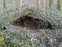 Ligne Maginot - BOIS DU FAYEL (I/143° RALH) - (PC de Sous-Secteur) - Ce PC n'existe pratiquement plus.
Il ne reste qu'un vestige effondré et envahi par la nature. On voit encore un peu la tôle arrondie qui constituait le ou les bâtiments