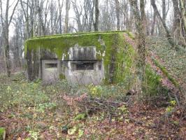 Ligne Maginot - DB33 - BOIS GRIGNET - (Blockhaus pour canon) - 