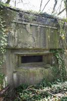 Ligne Maginot - DB34 - LA HAIE AUX MURES - (Blockhaus pour canon) - 