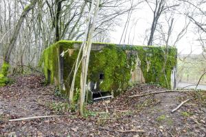 Ligne Maginot - DB305 - GRAND BOIS - (Blockhaus pour canon) - 