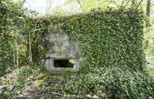 Ligne Maginot - DB317 - BOIS DE BEUVEILLE  OUEST 2 - (Blockhaus pour canon) - Le créneau