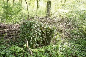 Ligne Maginot - DB317 - BOIS DE BEUVEILLE  OUEST 2 - (Blockhaus pour canon) - Une niche pour munitions