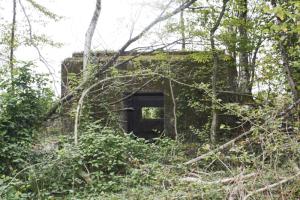 Ligne Maginot - DB318 - BOIS DE BEUVEILLE NORD OUEST - (Blockhaus pour canon) - L'entrée du matériel