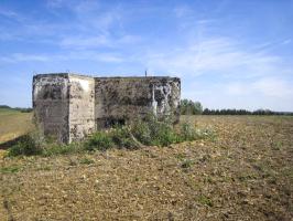 Ligne Maginot - DB321 - CHINAUVEAU - (Blockhaus pour canon) - 