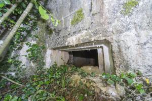 Ligne Maginot - MOREMONT NORD - (Blockhaus pour canon) - 