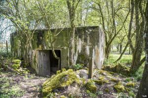 Ligne Maginot - DB327 - HAIE AUX MURES 1 - (Blockhaus pour canon) - L'entrée du matériel