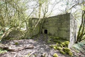 Ligne Maginot - DB328 - HAIE AUX MURES 2 - (Blockhaus pour arme infanterie) - 