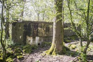 Ligne Maginot - DB328 - HAIE AUX MURES 2 - (Blockhaus pour arme infanterie) - 