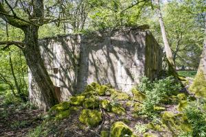 Ligne Maginot - DB328 - HAIE AUX MURES 2 - (Blockhaus pour arme infanterie) - 
