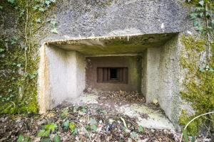 Ligne Maginot - DB330 - BOIS DE LA HEURETTE CENTRE - (Blockhaus pour arme infanterie) - 