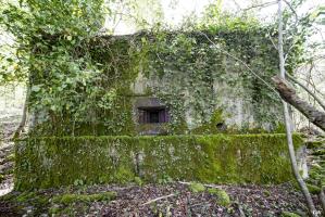 Ligne Maginot - DB331 - BOIS DE LA HEURETTE OUEST - (Blockhaus pour arme infanterie) - 