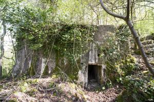 Ligne Maginot - DB331 - BOIS DE LA HEURETTE OUEST - (Blockhaus pour arme infanterie) - 