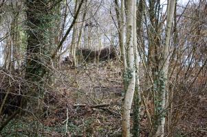 Ligne Maginot - DB335 - GRANDS COTES OUEST - (Blockhaus pour canon) - Une vue de l'ouvrage depuis la route en contrebas
