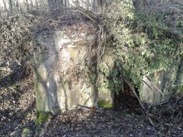 Ligne Maginot - DB335 - GRANDS COTES OUEST - (Blockhaus pour canon) - Vue depuis le talus, l'entrée.