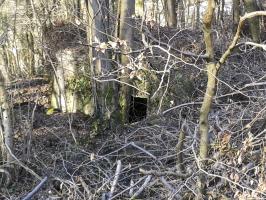 Ligne Maginot - DB335 - GRANDS COTES OUEST - (Blockhaus pour canon) - Ouvrage en contrebas de la route de Longuyon à Marville. Talus escarpé et encombré d'arbres abattus.
