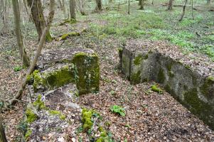 Ligne Maginot - DB377 - BOIS DE GRANDCHAMPS - (Blockhaus pour canon) - 