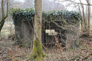 Ligne Maginot - Dbo11 ( Blockhaus pour canon ) - L'ouvrage de derrière vers le créneau de tir