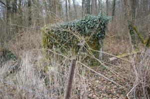 Ligne Maginot - Dbo11 ( Blockhaus pour canon ) - Vue de l'autre côté