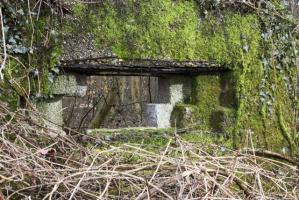 Ligne Maginot - DBO5 - (Blockhaus pour canon) - Le créneau