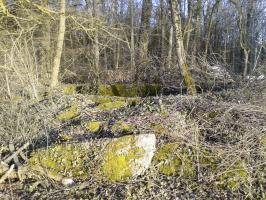 Ligne Maginot - DC6 - (Cuve pour canon) - La cuve est à environ 20 mètres de ce qui fut le dépôt du Bois du Fayel. Là aussi la nature a repris sa place et on voit encore la forme circulaire de la dite cuve envahie de plantes et autres herbes.