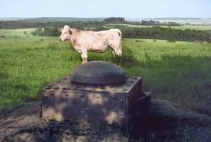 Ligne Maginot - DO8 - CHINAUVEAU - (Observatoire d'artillerie) - 