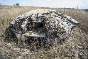 Ligne Maginot - DT26 - (Cuve pour arme d'infanterie) - Le créneau.
Attention aux abeilles.