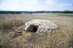 Ligne Maginot - DT26 - (Cuve pour arme d'infanterie) - Les entrées