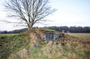 Ligne Maginot - DT262 - FROIDCUL OUEST - (Cuve pour arme d'infanterie) - Vue de l'ouvrage.
L'entrée quasiment comblée se situait à gauche de la façade