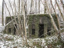 Ligne Maginot - GRAND BOIS EST - (PC) - 