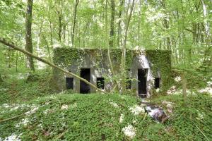 Ligne Maginot - GRAND BOIS EST - (PC) - 