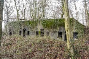 Ligne Maginot - GRAND BOIS (1°BON 149° RIF) - (PC de Quartier) - 