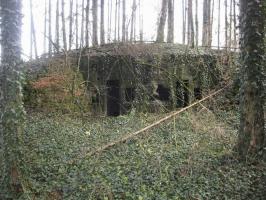 Ligne Maginot - Vue sur les 2 alveoles - 