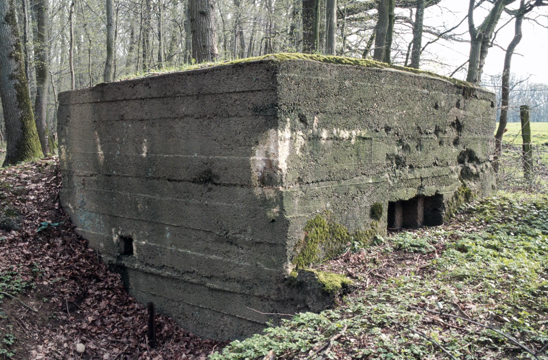 Ligne Maginot - CB89-A - BORNUNGSHOFF 2 - (Blockhaus pour arme infanterie) -  - MANSUY Michel