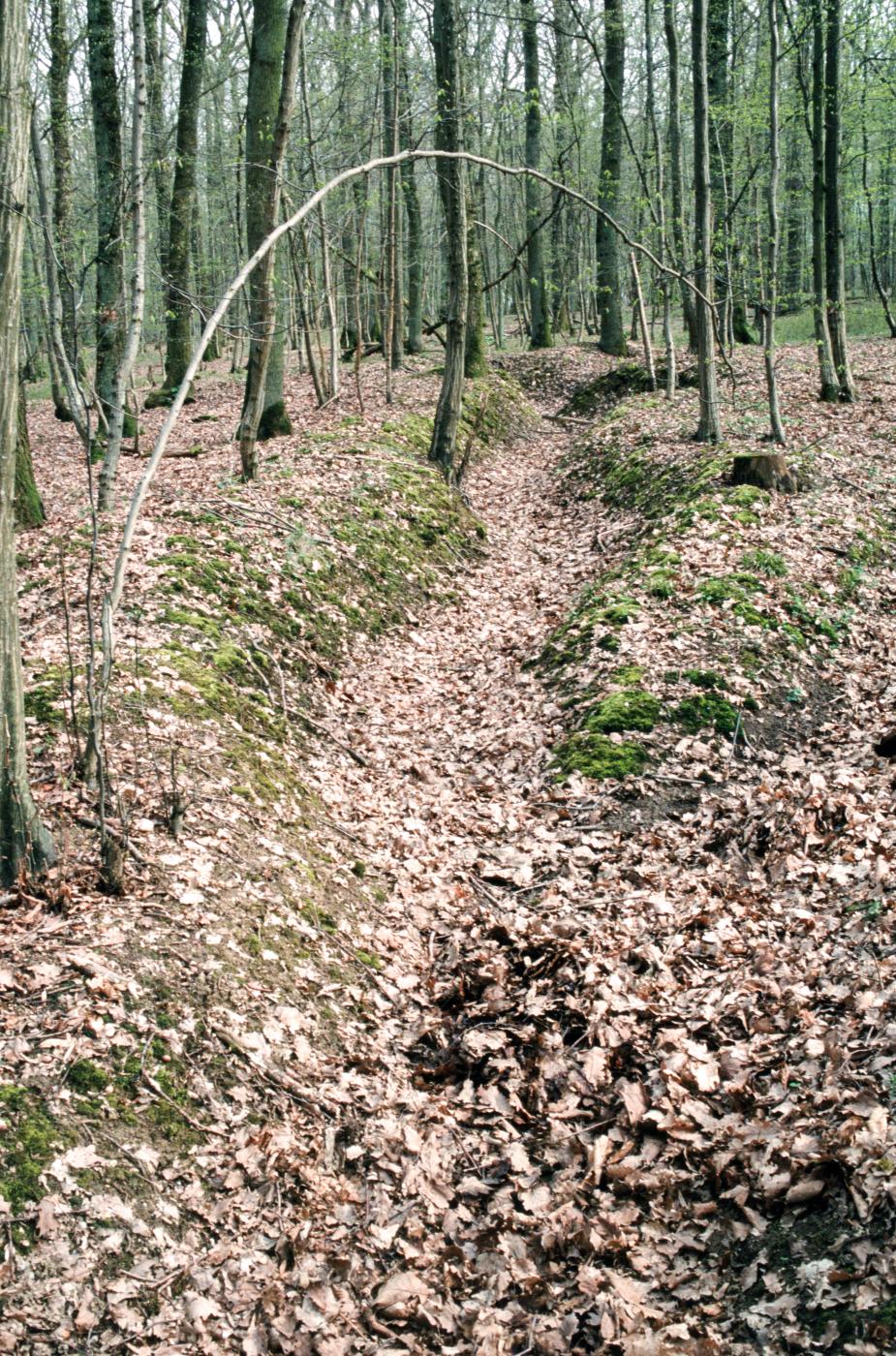 Ligne Maginot - CB89-A - BORNUNGSHOFF 2 - (Blockhaus pour arme infanterie) - Tranchée d'accès - MANSUY Michel