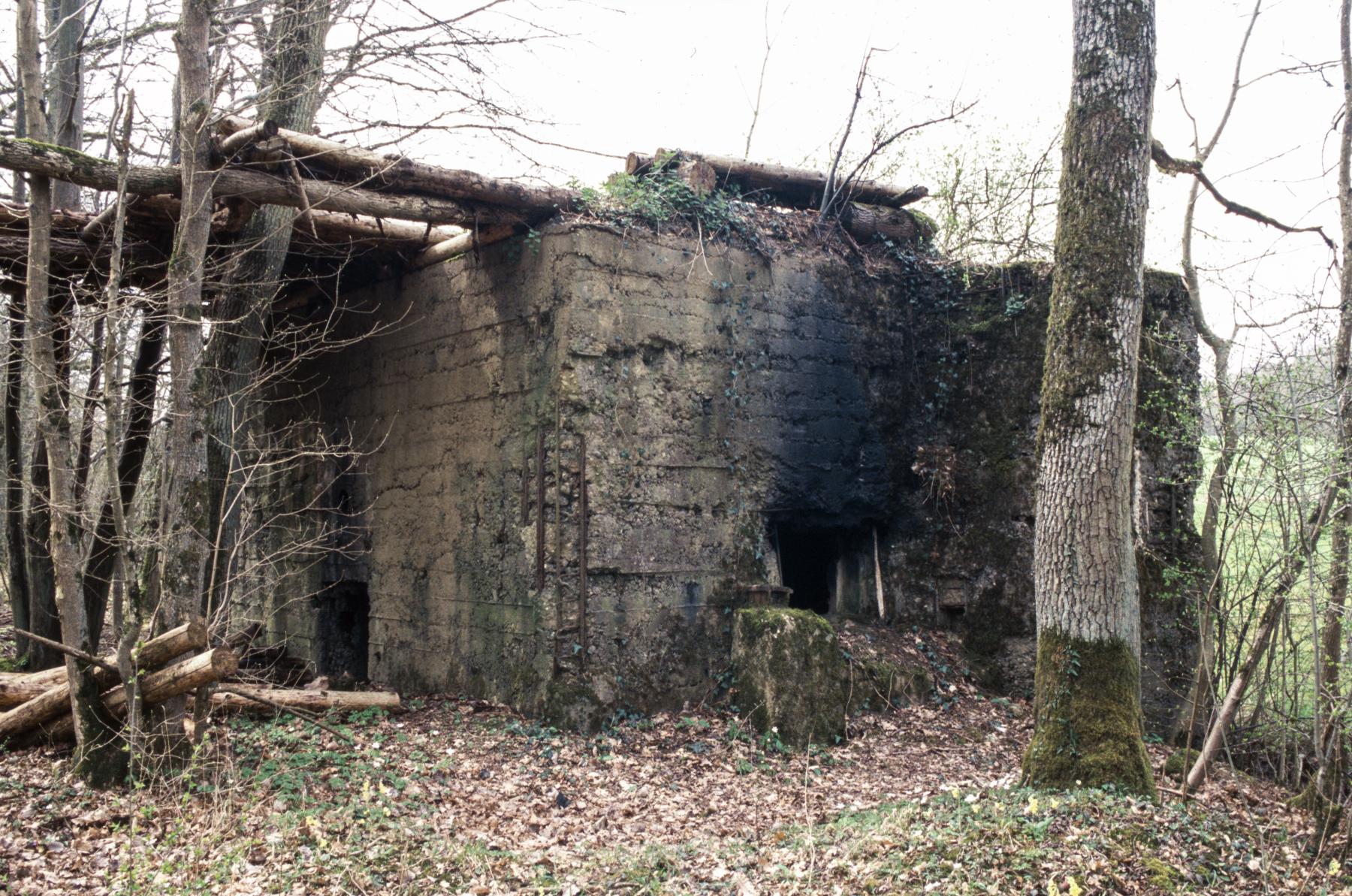 Ligne Maginot - MO-89C - BORNUNGSHOFF 4 - (Blockhaus pour arme infanterie) -  - MANSUY Michel