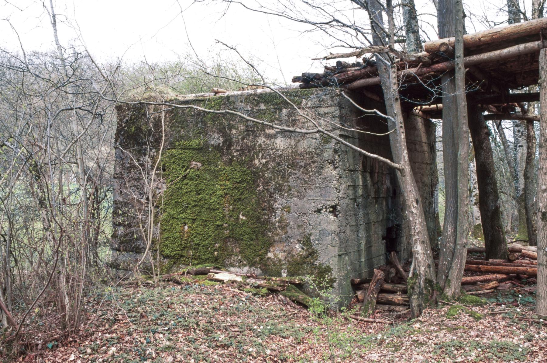 Ligne Maginot - MO-89C - BORNUNGSHOFF 4 - (Blockhaus pour arme infanterie) -  - MANSUY Michel