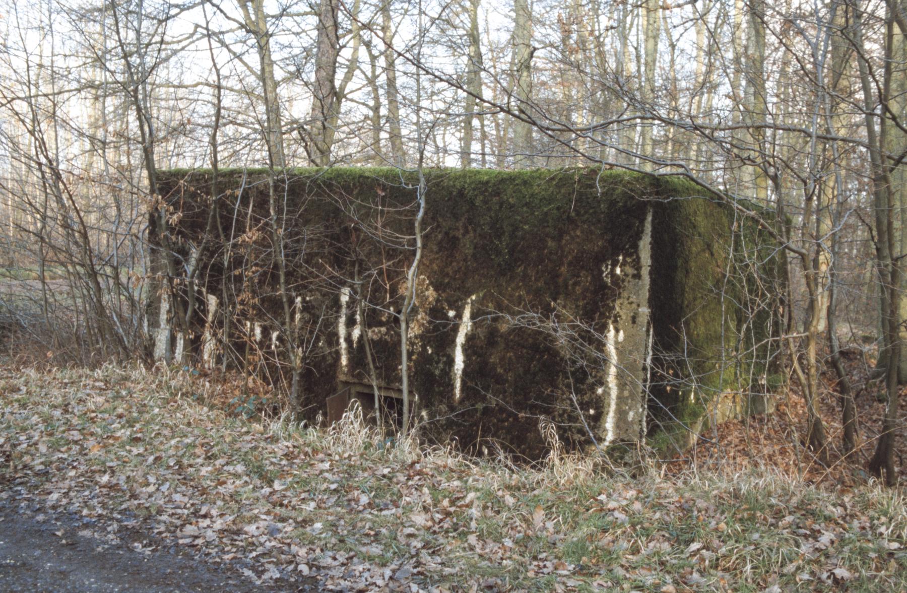 Ligne Maginot - CB246 - HELMREICH 1 - (Blockhaus pour arme infanterie) -  - MANSUY Michel