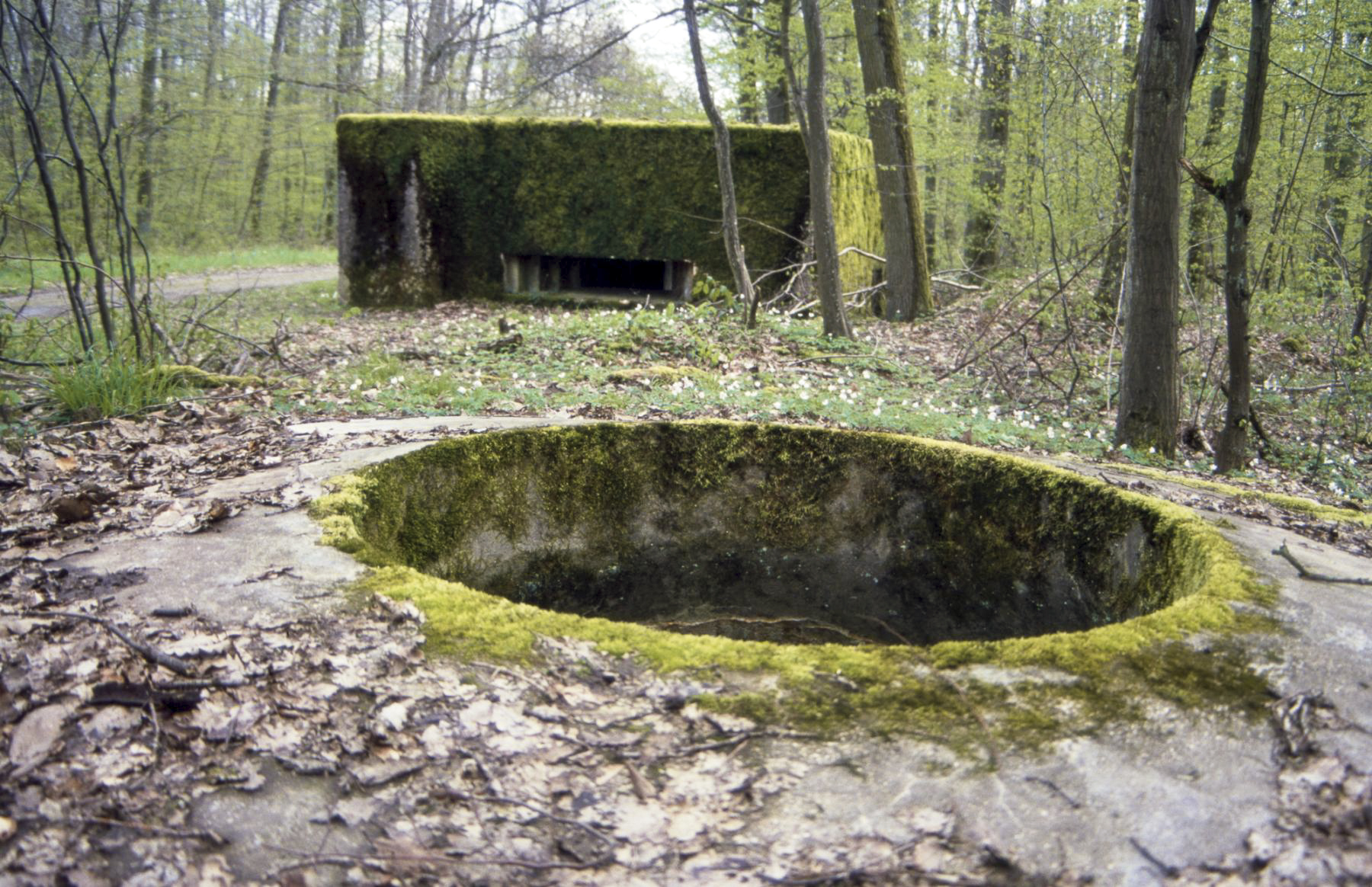 Ligne Maginot - CT58 - (Cuve pour arme d'infanterie) - Noter le bloc Cb249 à l'arrière-plan - Michel Teiten