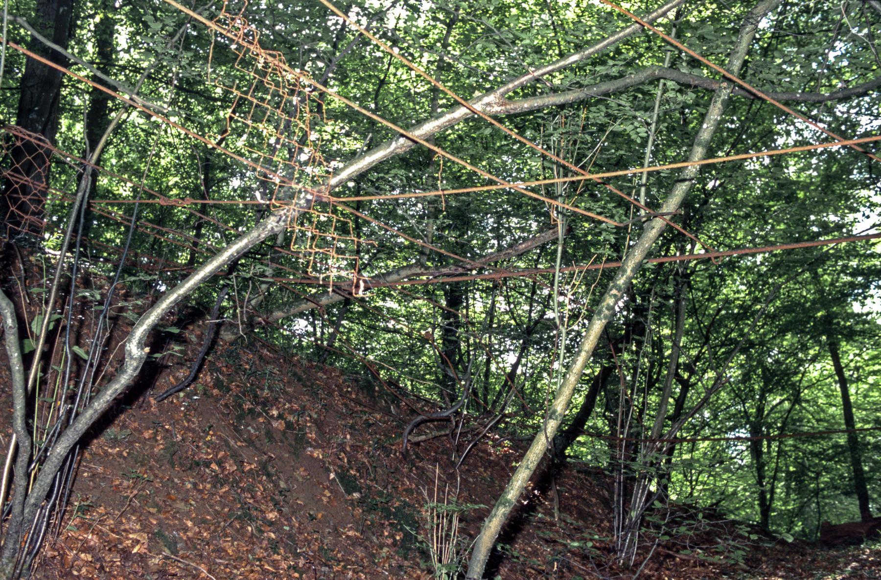 Ligne Maginot - BOIS D'ESCHERANGE - X3 (QUARTIER KANFEN - I/169°RIF) - (Abri) - Restes des filets de camouflage - MANSUY Michel