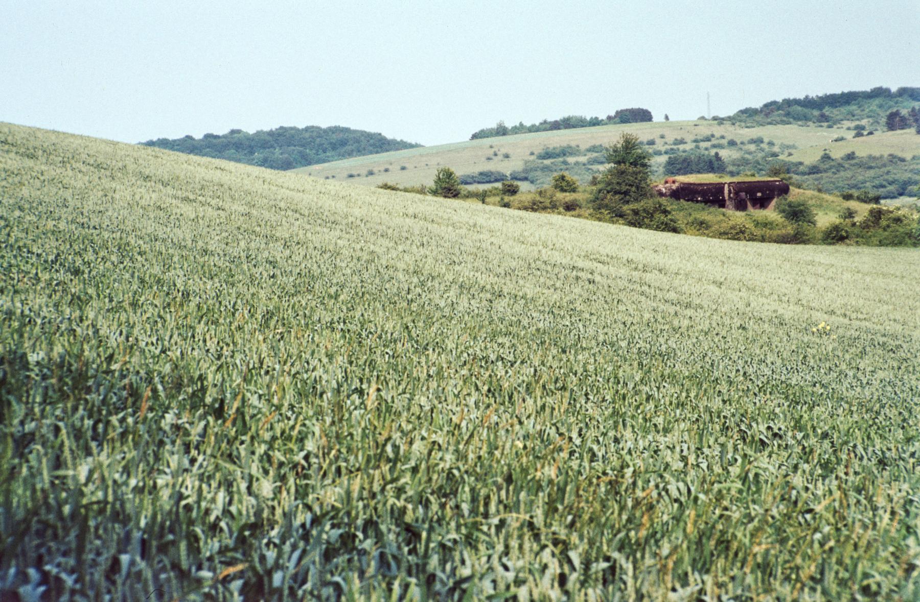 Ligne Maginot - ESCHERANGE OUEST - C37 - (Casemate d'infanterie - Simple) - La casemate dans son environnement - MANSUY Michel