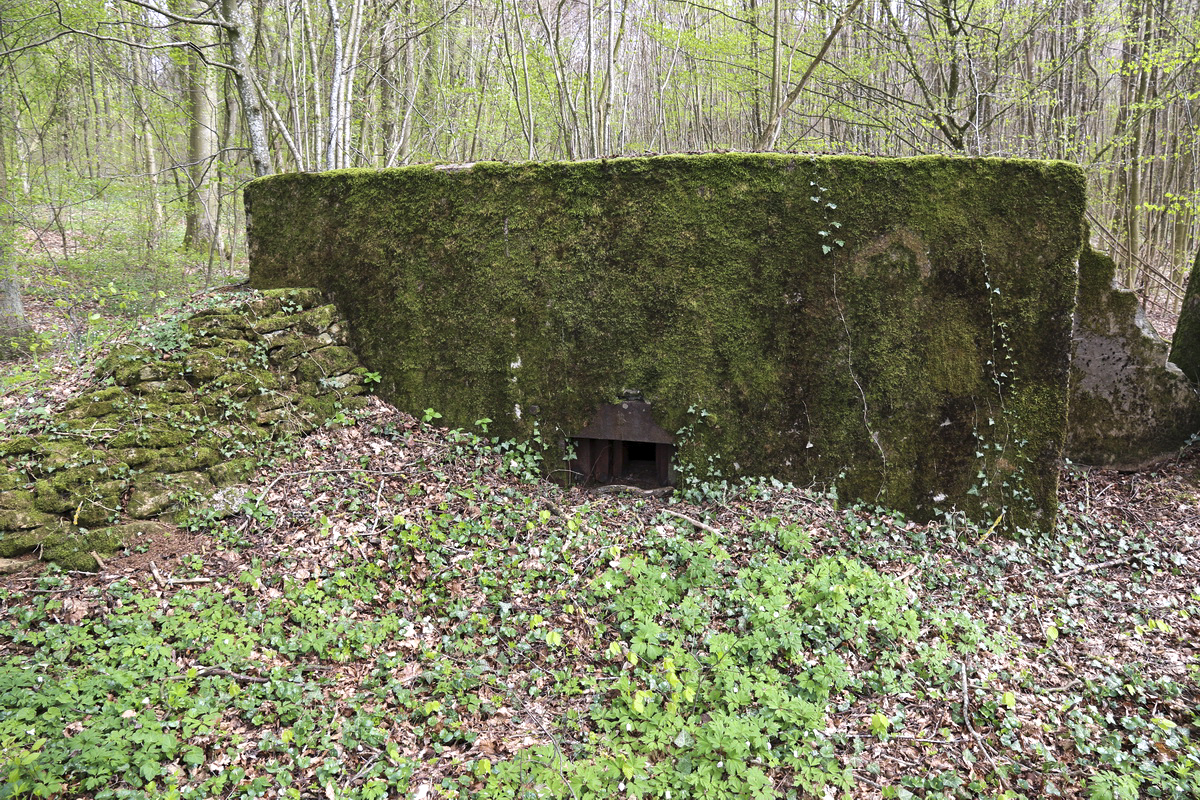 Ligne Maginot - CB332 - GINSKLOPP SUD - (Blockhaus pour arme infanterie) -  - Alain Perouffe