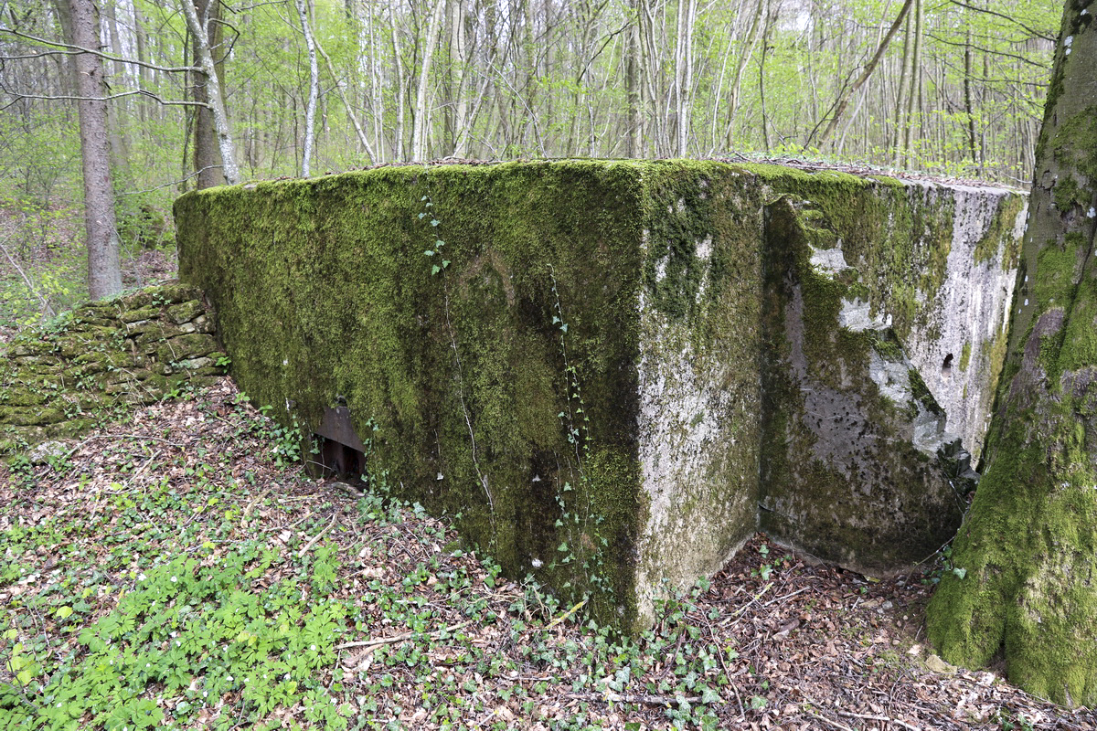 Ligne Maginot - CB332 - GINSKLOPP SUD - (Blockhaus pour arme infanterie) -  - Alain Perouffe