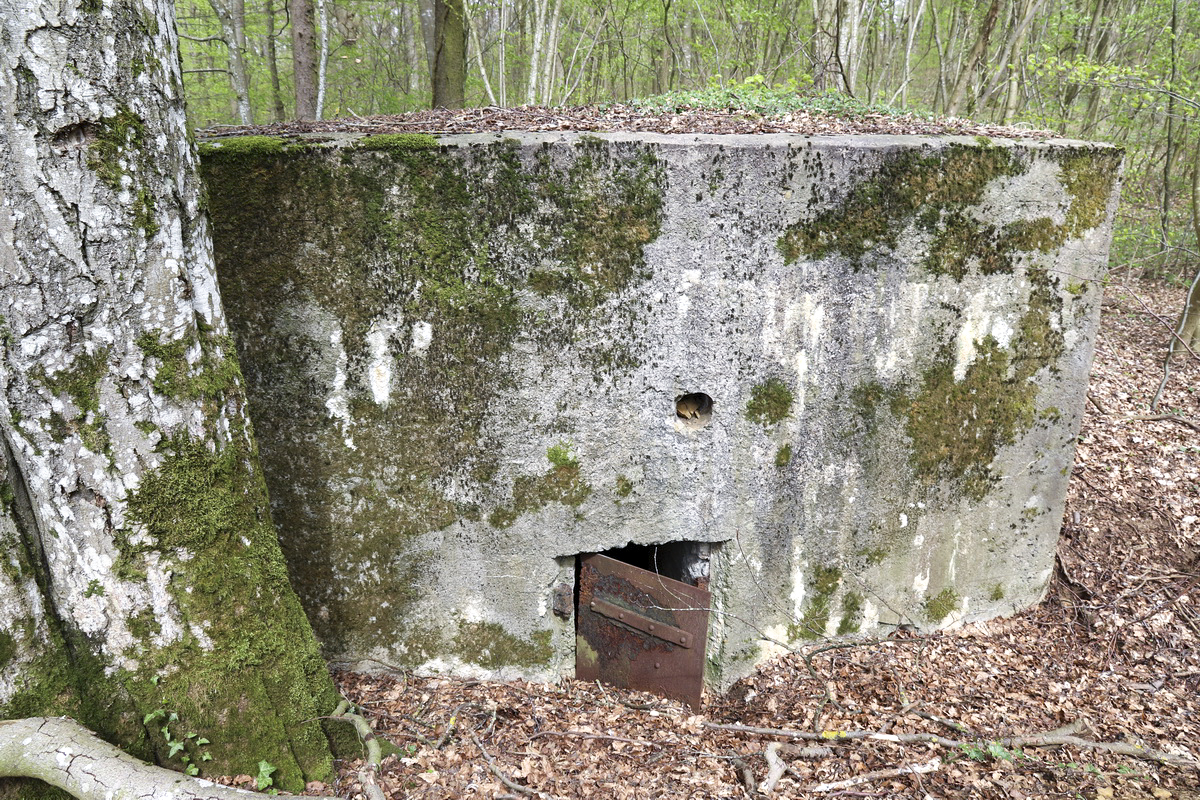 Ligne Maginot - CB332 - GINSKLOPP SUD - (Blockhaus pour arme infanterie) -  - Alain Perouffe