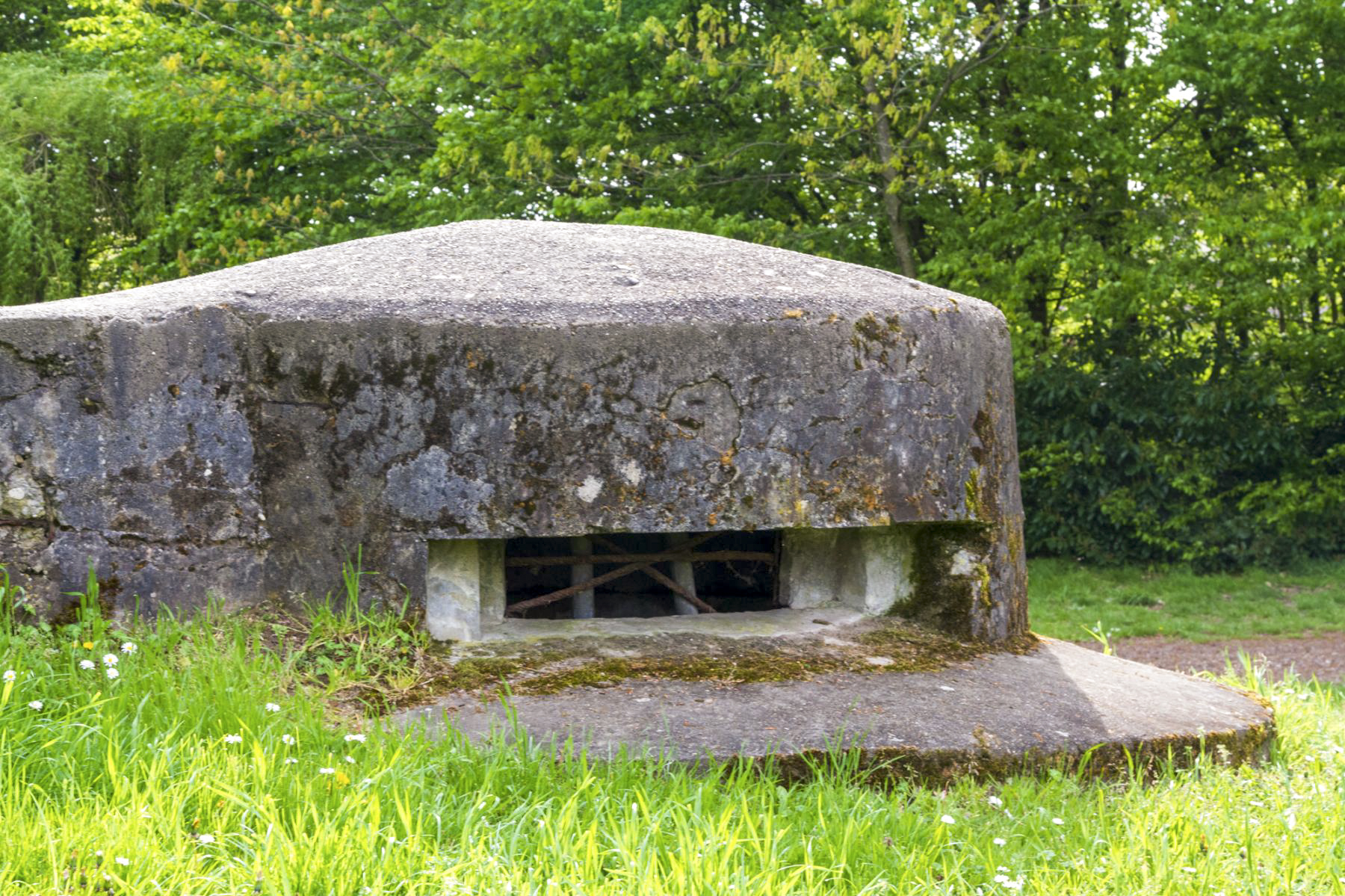 Ligne Maginot - NIEDERBETSCHDORF 4 - (Blockhaus pour arme infanterie) -  - Michel Teiten