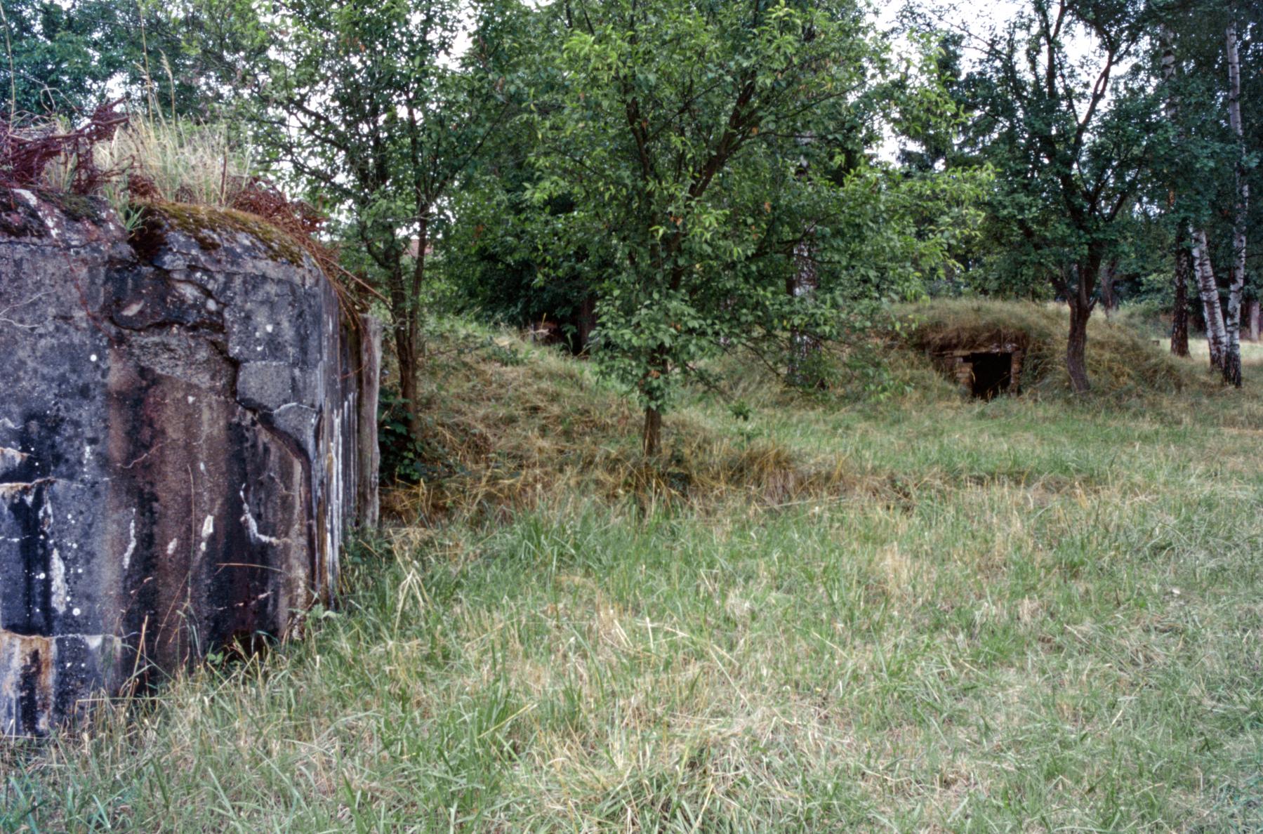 Ligne Maginot - HINSING 2 - (Blockhaus pour canon) - Hinsing 8 est très proche - MANSUY Michel