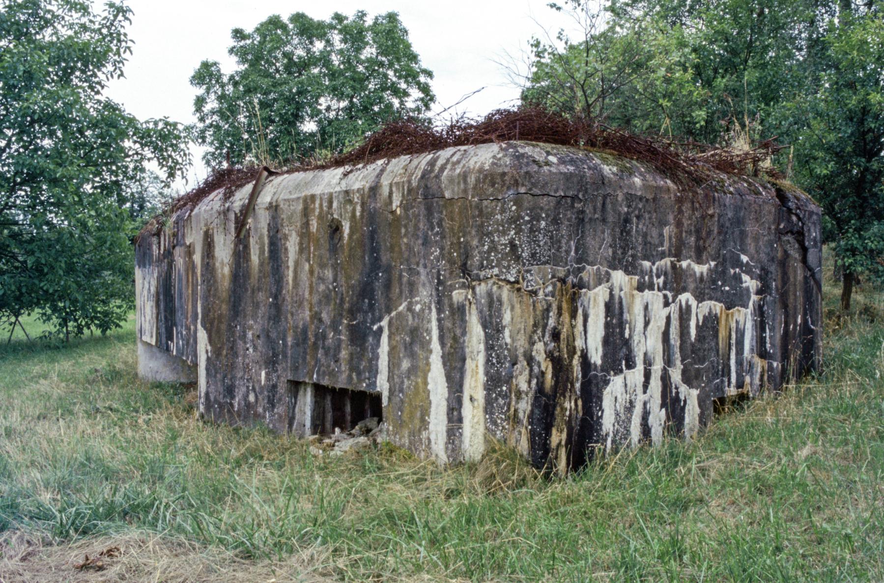 Ligne Maginot - HINSING 2 - (Blockhaus pour canon) -  - MANSUY Michel