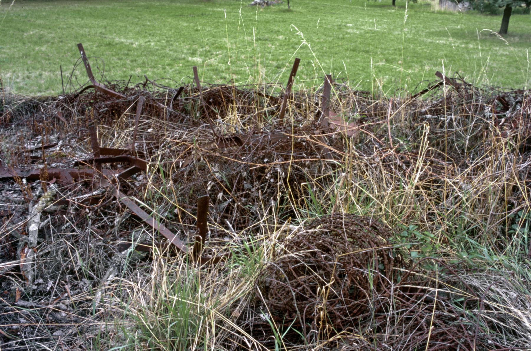 Ligne Maginot - HINSING 2 - (Blockhaus pour canon) - Le toit - MANSUY Michel
