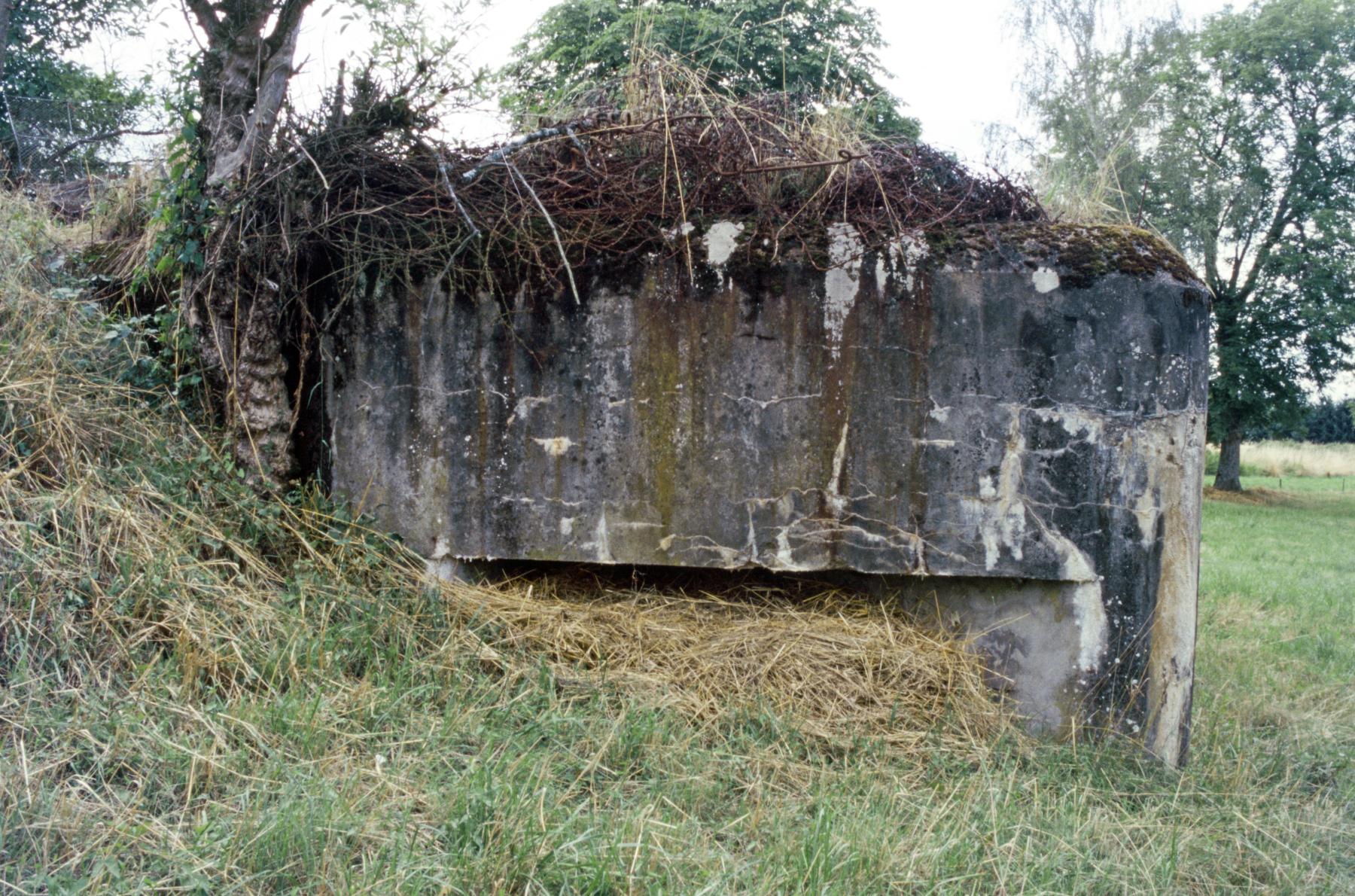 Ligne Maginot - HINSING 2 - (Blockhaus pour canon) -  - MANSUY Michel